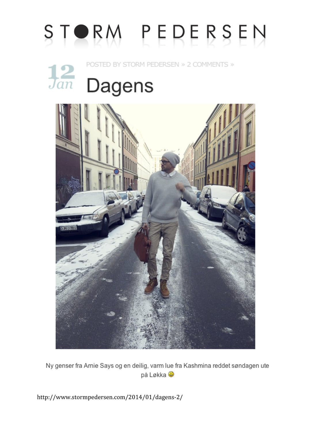 BLOGGER STORM PEDERSEN